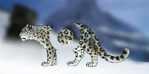 PS教程:平常不会告诉你的10个PS心得 PS教程:平常不会告诉你的10个PS心得