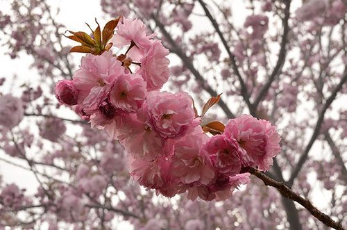 PS教程:平常不会告诉你的10个PS心得 PS教程:平常不会告诉你的10个PS心得